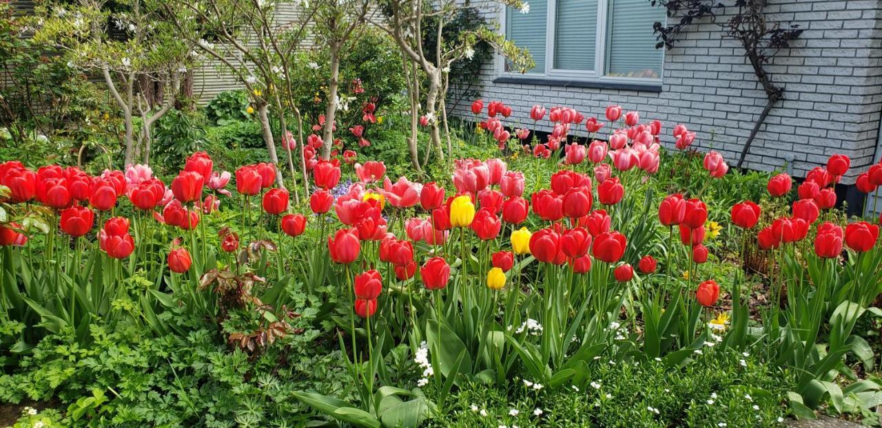 Mini-Apartment In The Flowerbed Сёборг Экстерьер фото